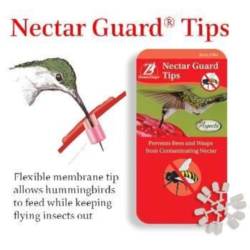  Aspects Hummzinger Nectar Tips 