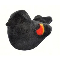 Red Winged Blackbird Audubon