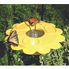 Flutterby Butterfly Feeder