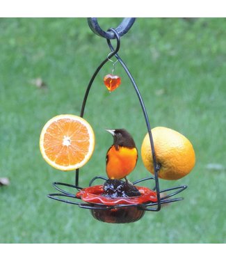 Oriole Flower Feeder