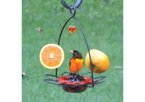  Oriole Flower Feeder 