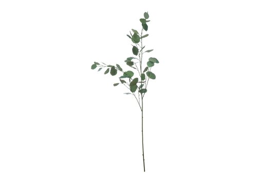  Creative Co-Op 54" Eucalyptus Branch 