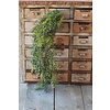 32.5" New England Boxwood Hanging