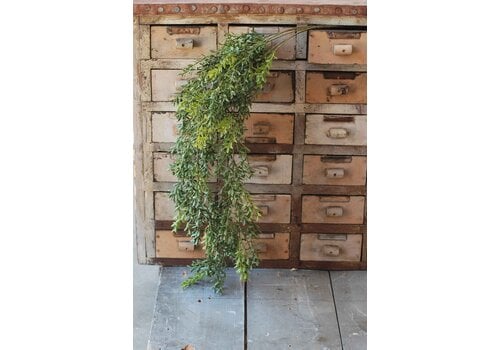  32.5" New England Boxwood Hanging 