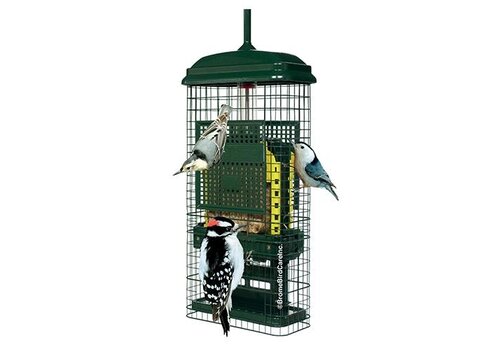  Squirrel Buster Suet Feeder 