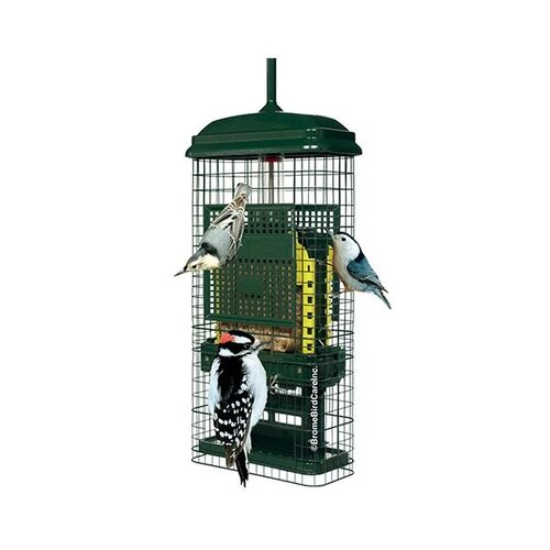  Squirrel Buster Suet Feeder 