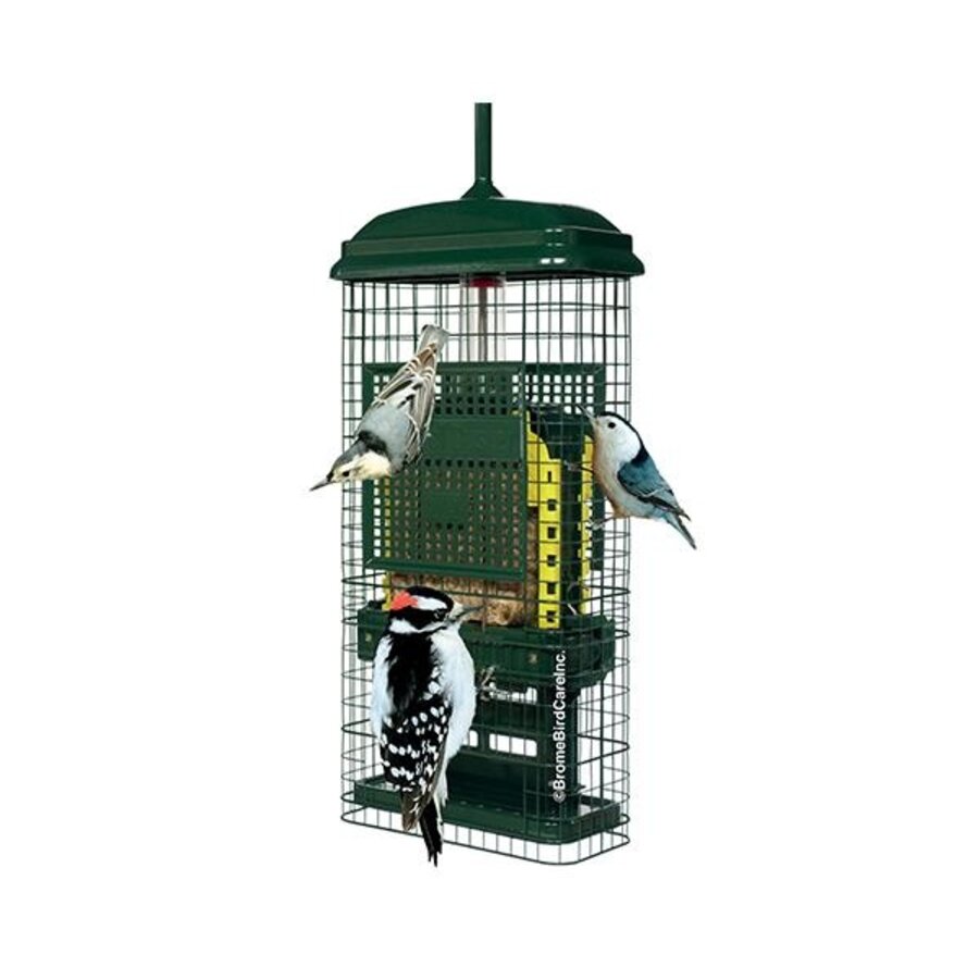 Squirrel Buster Suet Feeder
