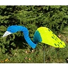 Florida Dancing Birds Peacock Dancing Bird