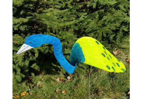 Florida Dancing Birds Peacock Dancing Bird   Florida Dancing Birds Peacock Dancing Bird