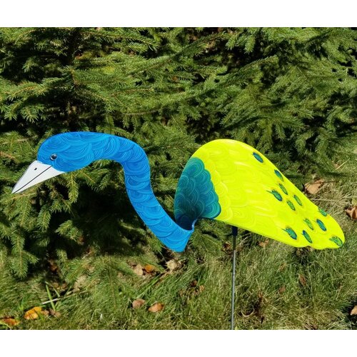  Florida Dancing Birds Peacock Dancing Bird 