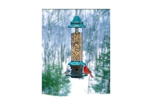  Squirrel Buster Plus 
