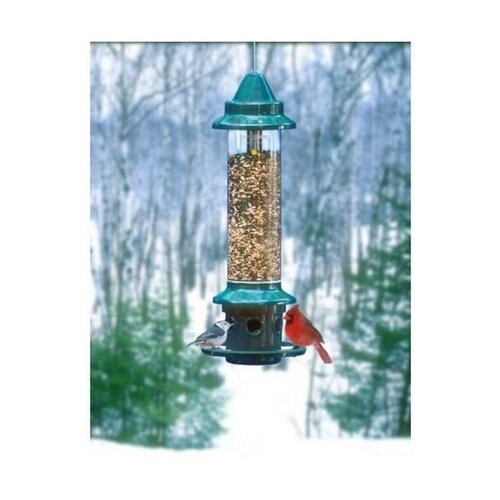  Squirrel Buster Plus 