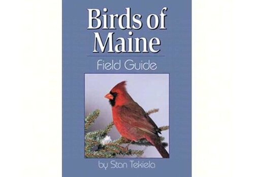  Birds of Maine 