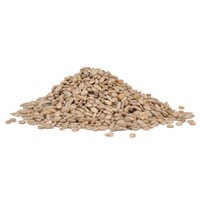 Sunflower Chips