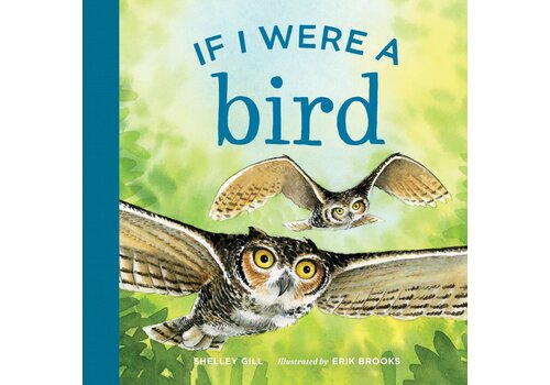  If I Were a Bird Book 
