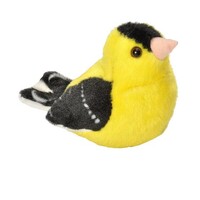 Goldfinch Audubon
