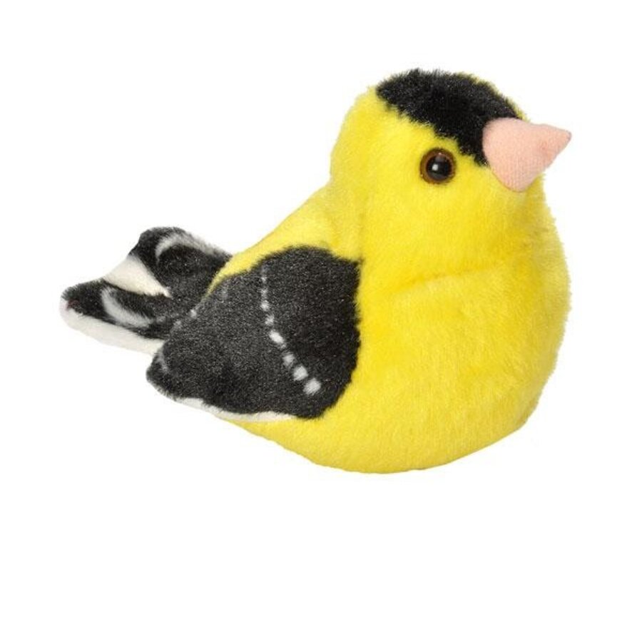 Goldfinch Audubon