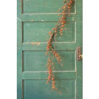 60" Bittersweet Garland