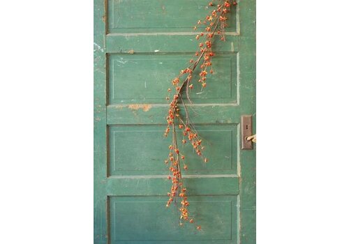  60" Bittersweet Garland 