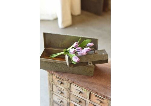  Lavender Tulips 