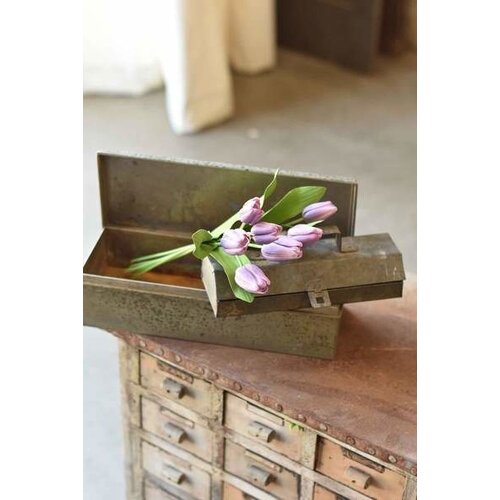  Lavender Tulips 