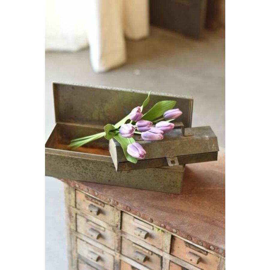 Lavender Tulips