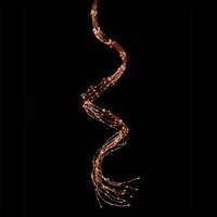String Light 3' Copper