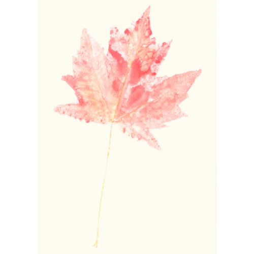  Molly O Maple Sympathy Card 