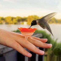 Hummer Ring