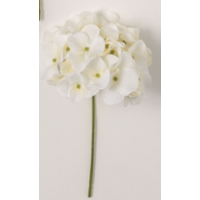 Hydrangea 10" Stem