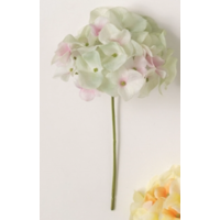 Hydrangea 10" Stem