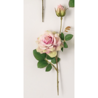 Rose 11" Stem