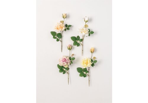  Sullivans Rose 11" Stem 