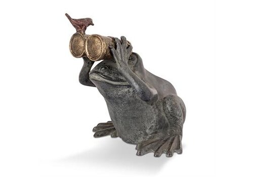  Frog Spectator w/ Bird 