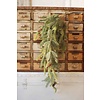 34" Frosted White Spruce Hanging Green