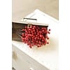 Boxed Weatherproof Berries