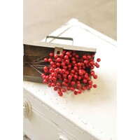 Boxed Weatherproof Berries