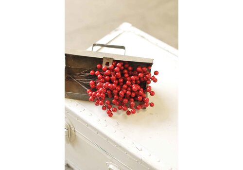  Boxed Weatherproof Berries 