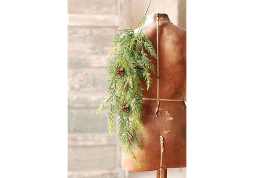  Prickly Pine Hanging 