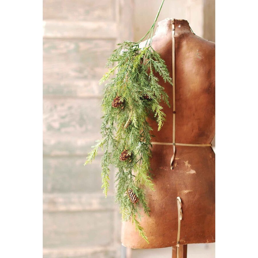Prickly Pine Hanging