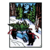 Artists to Watch Bears on Holiday Boxed Cards