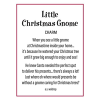 Mini Christmas Gnome