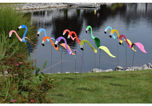  Dancing Lawn Flamingo 