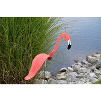 Dancing Lawn Flamingo