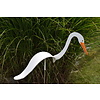 Florida Dancing Birds Dancing White Egret