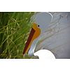 Florida Dancing Birds American White Pelican