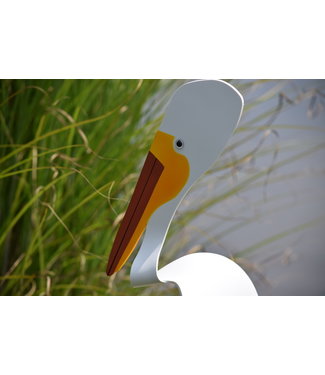 Florida Dancing Birds Pelican