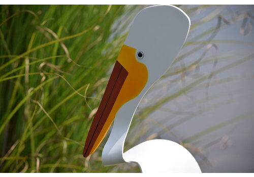  Florida Dancing Birds American White Pelican 