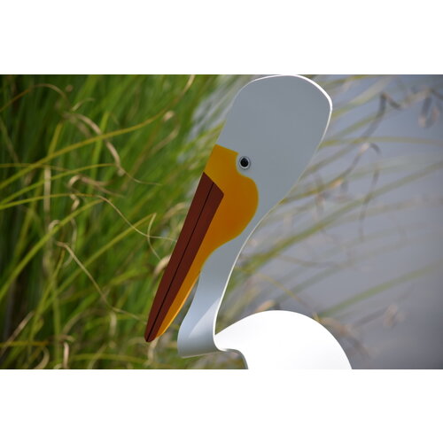  Florida Dancing Birds American White Pelican 