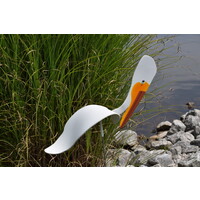 American White Pelican